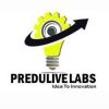 Predulive Innovations Private Limited
