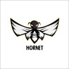HORNET DECENTRATECH PRIVATE LIMITED